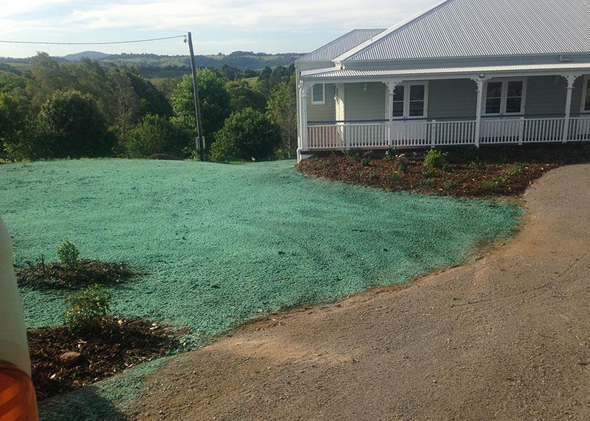 hydromulch sprayed on domestic lawn