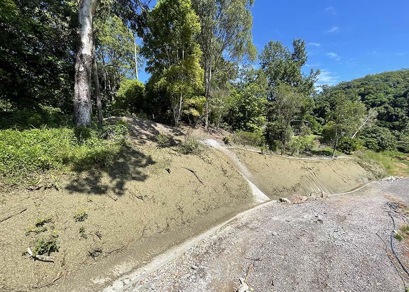 grass growing on side of road